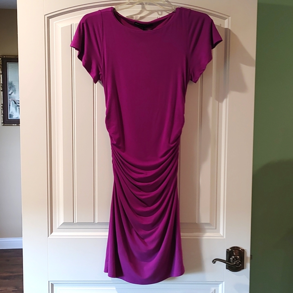 *WH/BM* Cinched Magenta Dress (Sz Small)